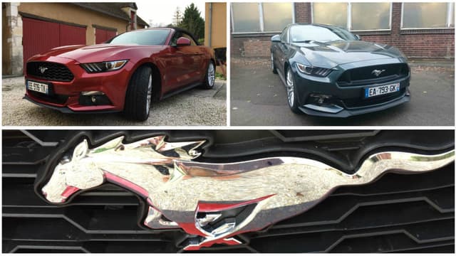 Vous êtes plutôt Mustang EcoBoost ou GT, Convertible ou Fastback?