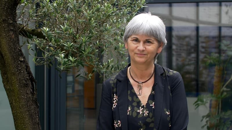 AlterEos : le droit au travail pour tous