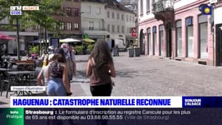 Bas-Rhin: l'état de catastrophe naturelle reconnu à Haguenau