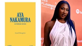 Dans son ouvrage "Aya Nakamura, Dictionnaire critique", Ismaël Mereghetti analyse la carrière de l'artiste une vingtaine de mots clefs.