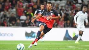 Loïc Rémy sous le maillot du LOSC
