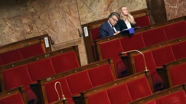 Le député du Gard Gilbert Collard, allié au Front National, et la députée FN du Vaucluse Marion Maréchal Le Pen à l'Assemblée nationale à Paris, le 24 Juin 2015.