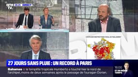 27 jours sans pluie: un record à Paris - 15/09