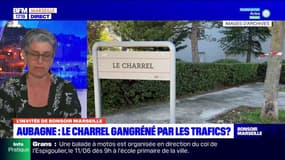 Bouche-du-Rhône: la candidate Reconquête ! dans la 9e circonscription estime que les "prisons françaises ne sont pas des prisons"