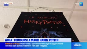 Lyon: la magie d'Harry Potter perdure 