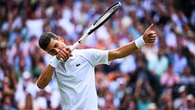 N. Djokovic