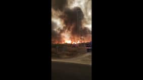Incendies: les images du brasier en Gironde filmé par les pompiers