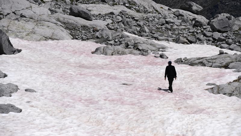 Dans les Alpes italiennes, une mystérieuse neige rose sur un glacier intrigue les scientifiques