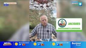 Conseil jardinage : les cendres - La météo de Colas du mardi 25 novembre 2025