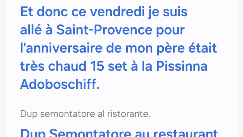 La fonction Interprète a du mal à bien traduire d'autres langues que l'anglais.