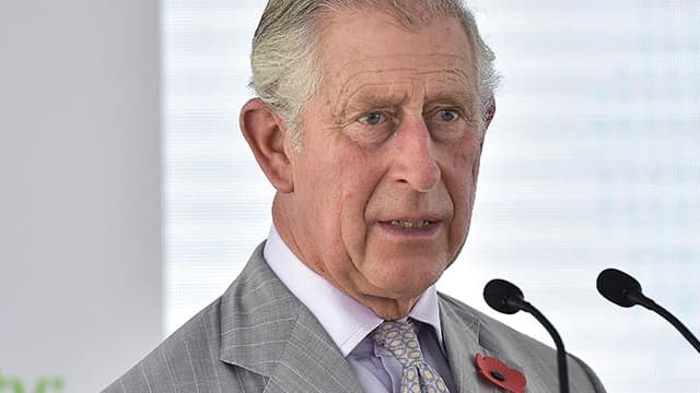Le prince Charles en visite à Dubaï en novembre 2016.