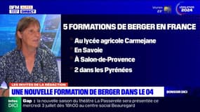 Alpes-de-Haute-Provence: la première formation de berger du département a ouvert au lycée agricole Carmejane