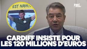 Mort d'Emiliano Sala : Le président de Cardiff insiste pour recevoir 120 millions d'euros du FC Nantes