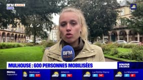 Mouvement de grève national: 600 personnes mobilisées à Mulhouse