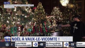 Sortir à Paris: Noël à Vaux-le-Vicompte !