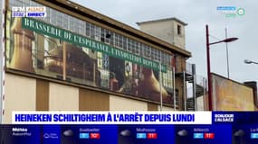 Schiltigheim: l'usine Heineken à l'arrêt depuis lundi