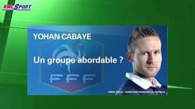 Football / Mondial 2014 : entretien avec Yohan Cabaye - 03/06
