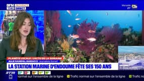 Planète Locale du lundi 22 mai -  La station marine d’Endoume fête ses 150 ans