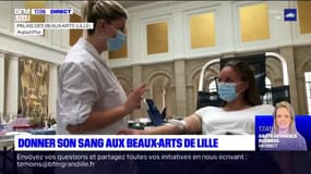 Lille: donner son sang au Palais des Beaux-Arts