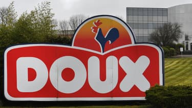 Le tribunal administratif de Rennes a condamné le volailler Doux à payer 82 millions d'euros d'amende. (image d'illustration)