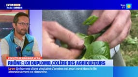 Rhône: des agriculteurs réclament l'application de la loi Duplomb