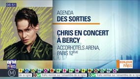 Sortir à Paris : "Chris" en concert à Bercy ce soir