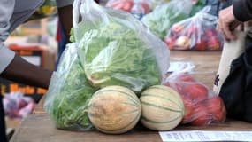 Le syndicat d'agriculteurs Modef organise cette vente directe.