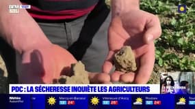 Pas-de-Calais: la sécheresse inquiète les agriculteurs