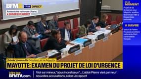 "Le cyclone Chido est une énorme catastrophe écologique", Estelle Youssouffa, rapporteure du projet de loi d'urgence Mayotte