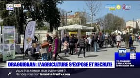 Draguignan: l'agriculture s'expose et recrute