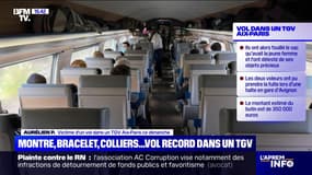 "Ils se sont glissés sous le siège": Aurélien, victime d'un vol record d'un montant de 350.000 euros dans un TGV, témoigne 