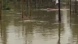 Inondations et stand up paddle dans le parc - Témoins BFMTV