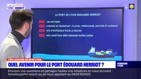 Lyon: une nouvelle feuille de route pour le port Édouard-Herriot