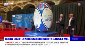 L'enthousiasme monte dans la MEL pour la coupe du monde de rugby