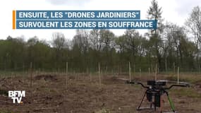 Ces drones veulent lutter contre la déforestation