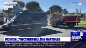 Incendie dans les Bouches-du-Rhône: 7 hectares brûlés à Martigues 