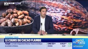 "C'est du jamais vu": le cours du cacao flambe et dépasse 10.000 dollars la tonne