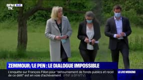 Éric Zemmour et Marine Le Pen: la rencontre impossible ?