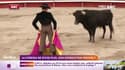 Tauromachie : Aymeric Caron veut interdire les corridas 