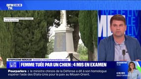 "C'est un chien de chasse": Stéphane Renaud, dresseur et comportementaliste canin, après l'agression mortelle d'une femme de 93 ans dans un cimetière