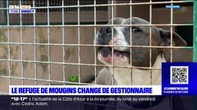 Alpes-Maritimes: le refuge de Mougins change de gestionnaire