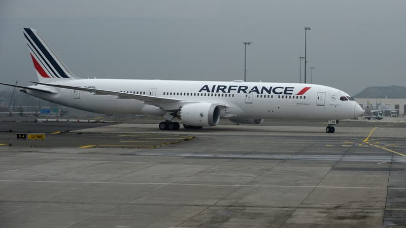 Un avion de la compagnie Air France.