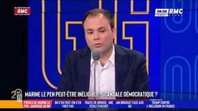 Affaire des assistants parlementaires : "Il faut sanctionner, mais l'inéligibilité est disproportionnée"