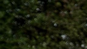 Des militants anti-aéroport à Notre-Dame-des-Landes, le 9 juillet 2016. (image d'illustration)