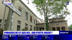 Lyon: que s'est-il passé lors de l'invasion de punaises de lit aux HCL?