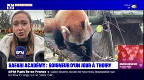 "Safari Academy": devenir soigneur le temps d'une semaine au zoo de Thoiry