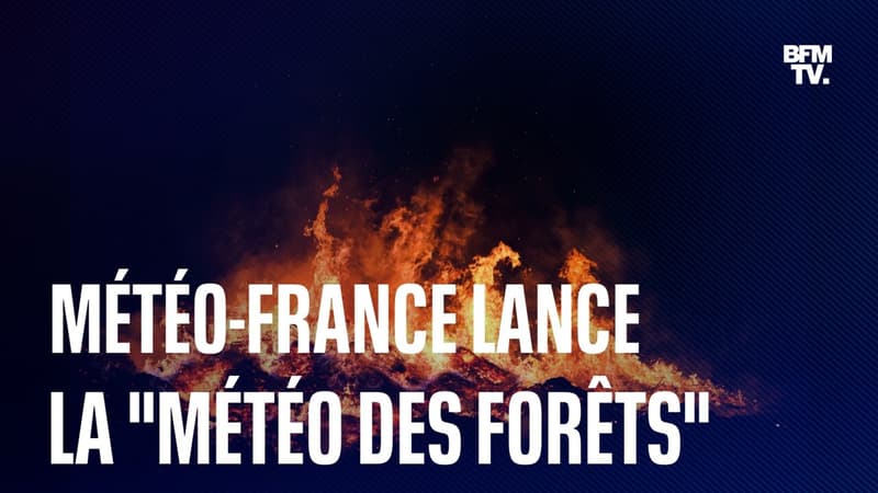 Météo-France dévoile un nouveau bulletin, &quot;la météo des forêts&quot;