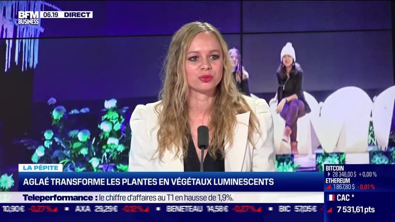 La pépite : Aglaé transforme les plantes en végétaux luminescents, par Noémie Wira - 26/04
