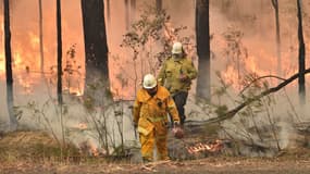 Un pompier à Jerrawangala (Nouvelle-Galles du Sud), en Australie, le 1er janvier 2020 - Peter Perks - AFP