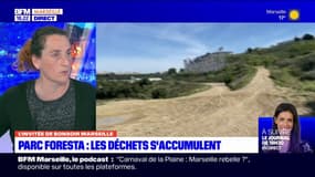 Marseille: une association dénonce une accumulation de déchets au parc Foresta